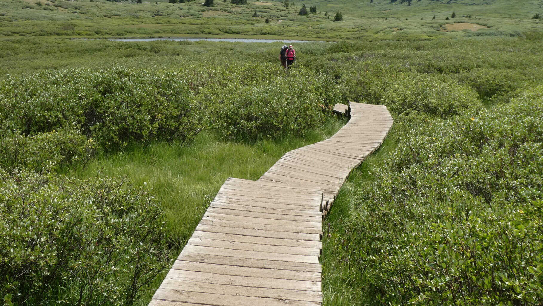 Bierstadt-Boardwalk