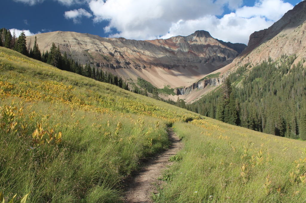 El Diente with wildflowers