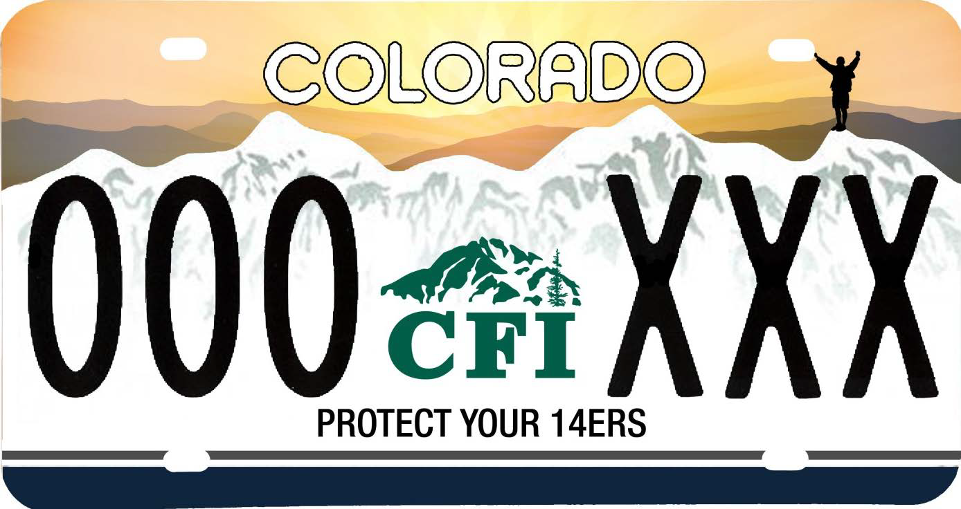 Option #1 License Plate